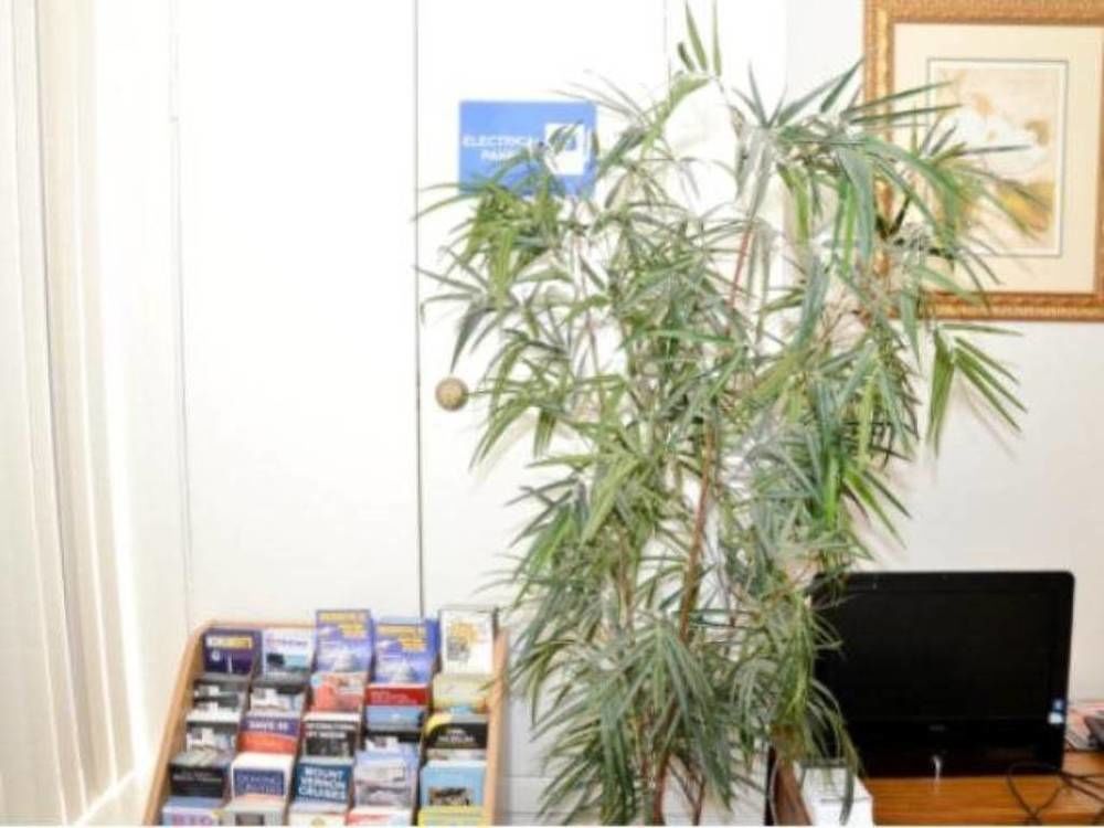 Dc International Hostel 1 Вашингтон Екстериор снимка